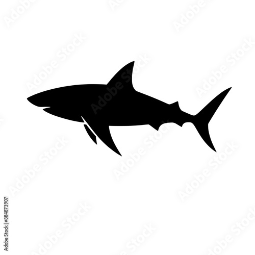 shark silhouette vector illustration isolated