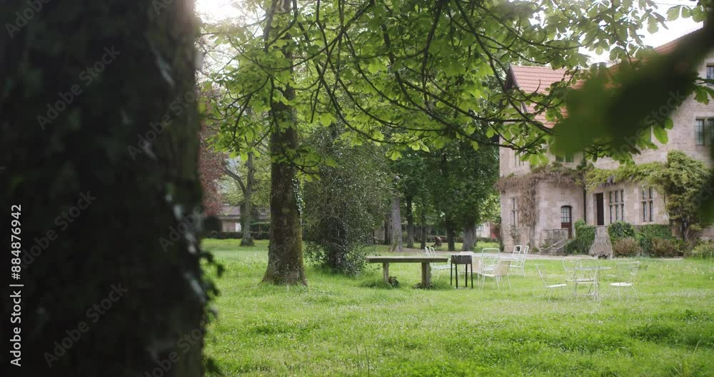 Beautiful slow motion shot with term of a tree of an old horror house in a lonely village or estate in the cloudy afternoon.