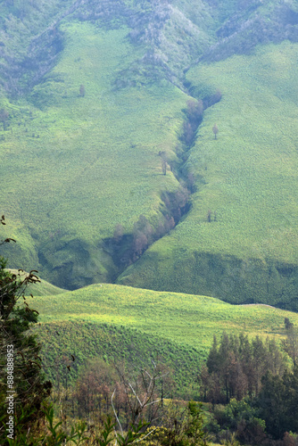 Beautiful natural scenery of the savanna around Mount Bromo Indonesia