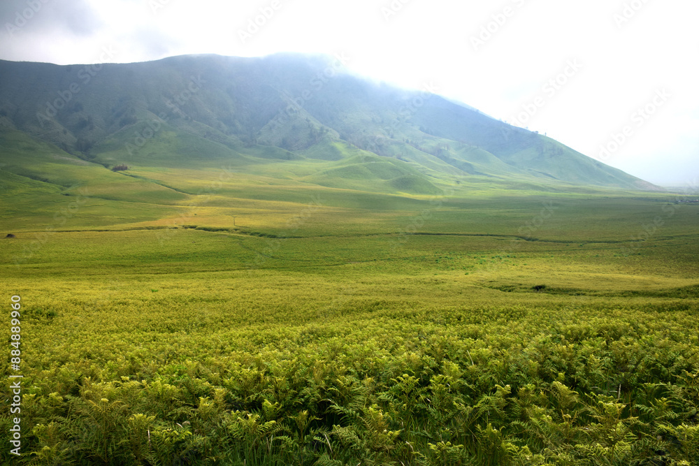 Beautiful natural scenery of the savanna around Mount Bromo Indonesia Beautiful natural scenery of the savanna around Mount Bromo Indonesia