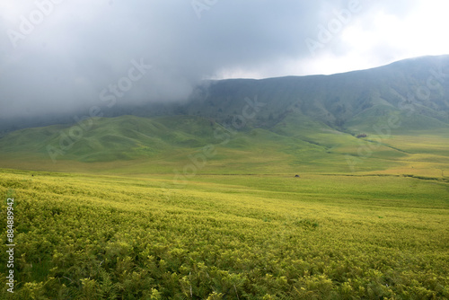 Beautiful natural scenery of the savanna around Mount Bromo Indonesia