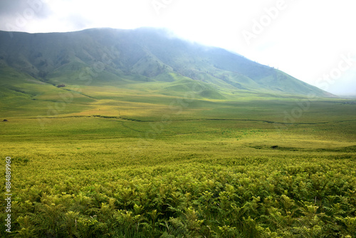 Beautiful natural scenery of the savanna around Mount Bromo Indonesia