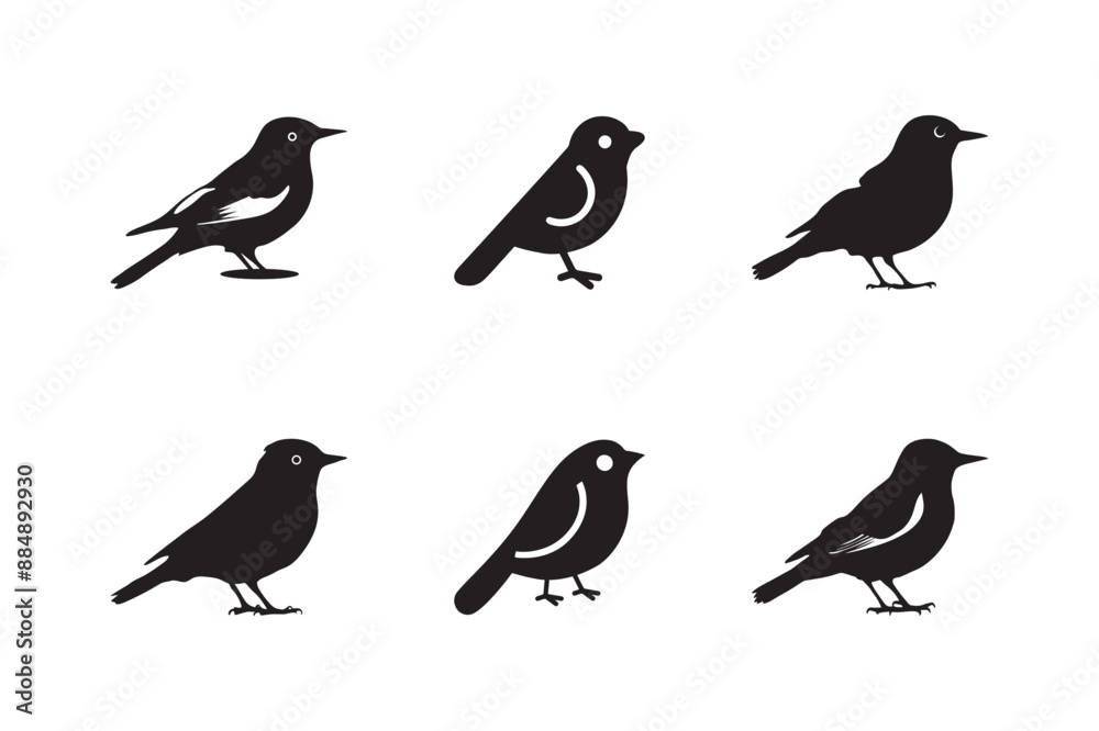 Set of birds. Birds silhouette set. Set Birds Vector illustration white background. Set of birds. Birds silhouette set. Set Birds Vector illustration white background.