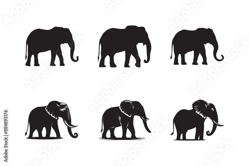 Set of elephant icon silhouettes. Elephant shadow hand drawn. Flat vector illustration white background.