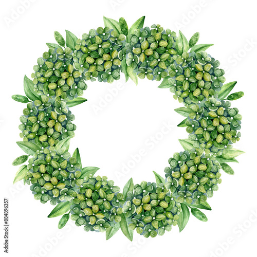 Hand painted watercolor wreath with blooming green hydrangea flowers and leaves. Floral botanical frame on white background. For wedding invitation template design, greeting card