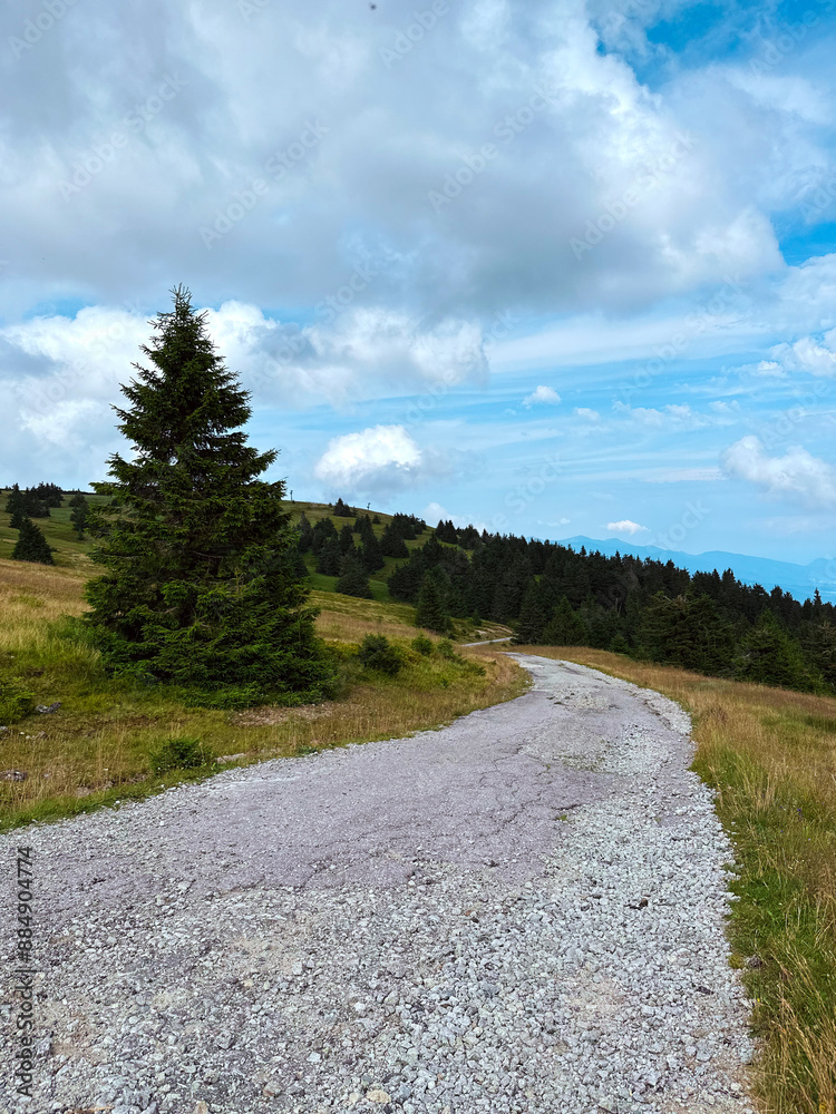 Fototapeta premium nature in the mountains in the Martinské Hole, Slovakia, beautiful hills and coniferous wood in the summer