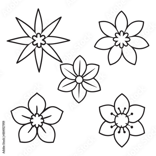 Unique Floral Elements Line Art: Hand-Drawn Flower Vector Illustrations.