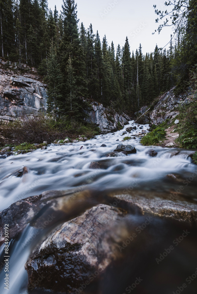 A beautiful stream deep in the Rocky Mountains, Silverton, Colorado A beautiful stream deep in the Rocky Mountains, Silverton, Colorado
