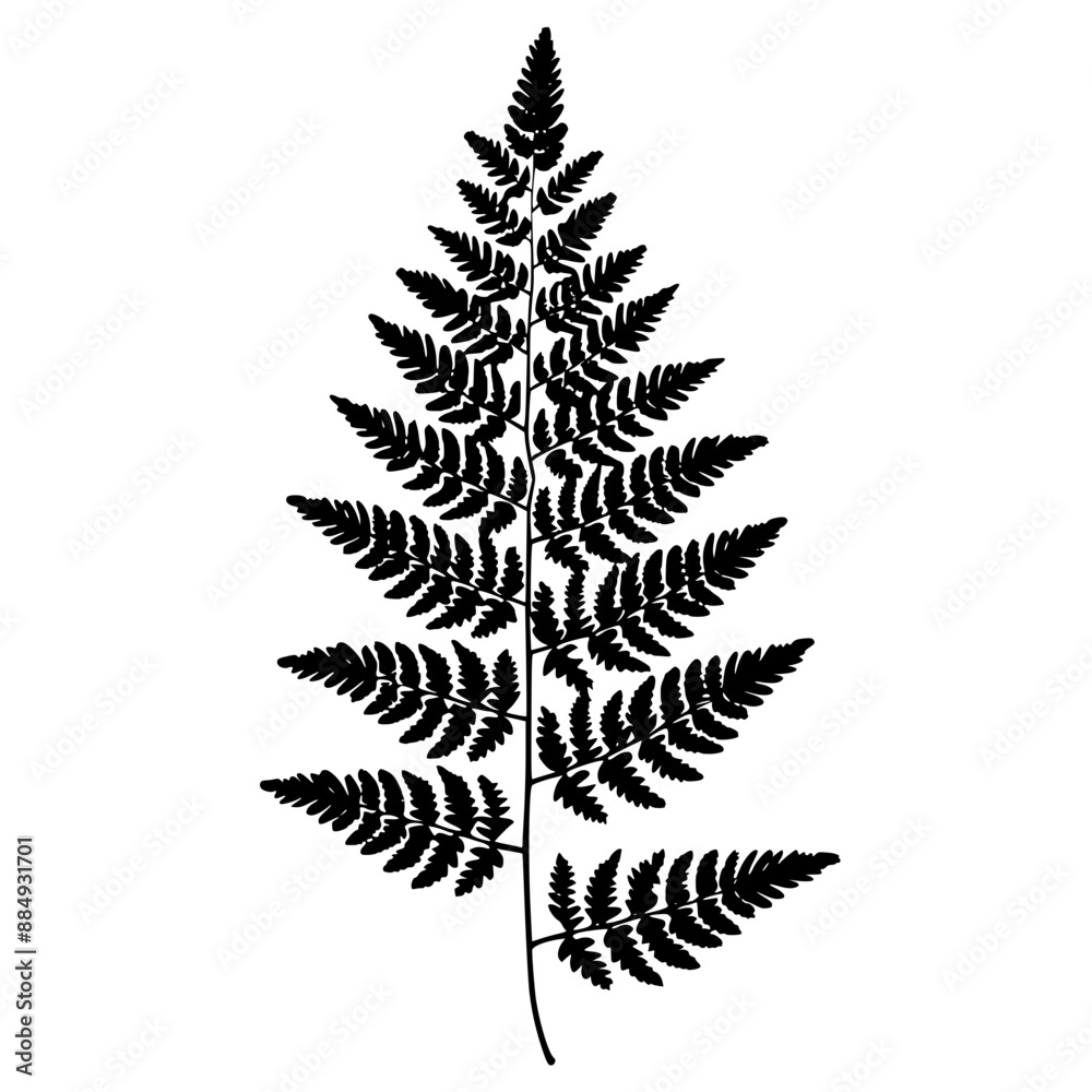 Silhouettes of Fern Leaves, A collection of black fern leaf silhouettes , showcasing the intricate details of the leaves.
Silhouettes of Fern Leaves, A collection of black fern leaf silhouettes , showcasing the intricate details of the leaves.