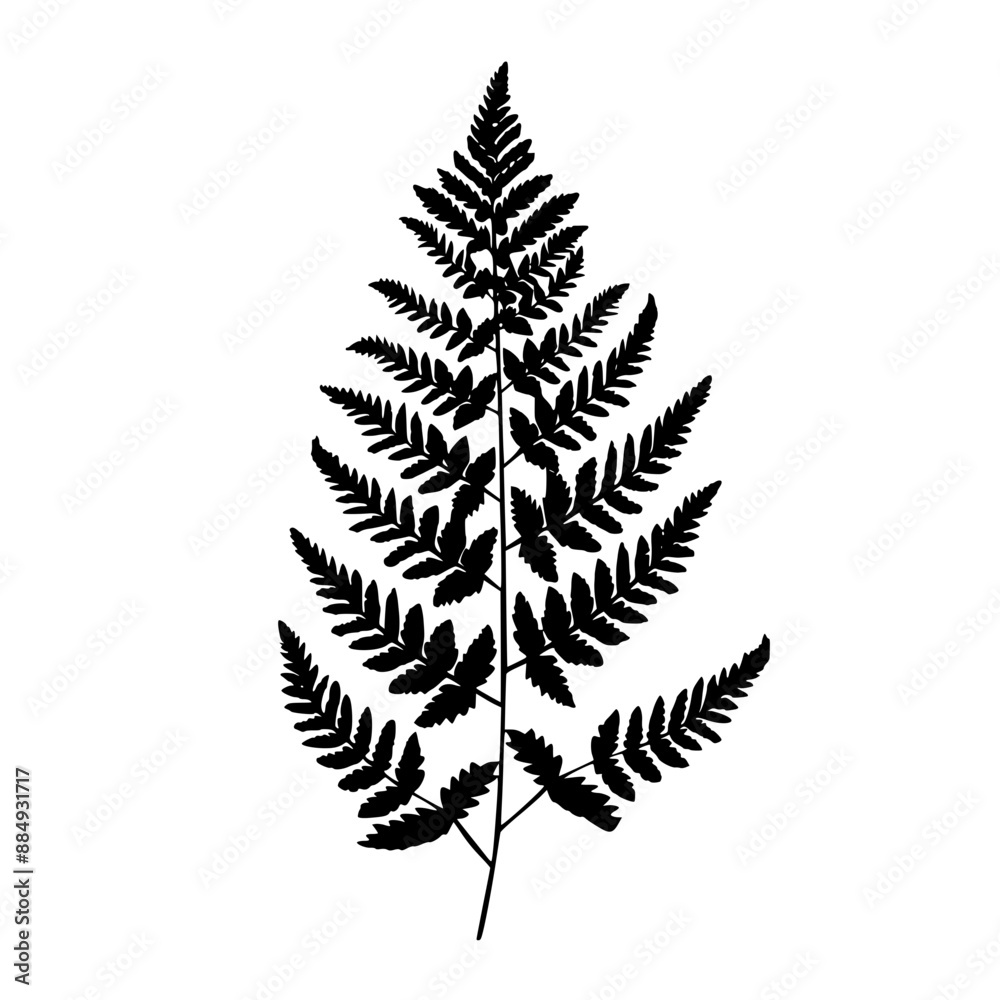 Silhouettes of Fern Leaves, A collection of black fern leaf silhouettes , showcasing the intricate details of the leaves.
Silhouettes of Fern Leaves, A collection of black fern leaf silhouettes , showcasing the intricate details of the leaves.