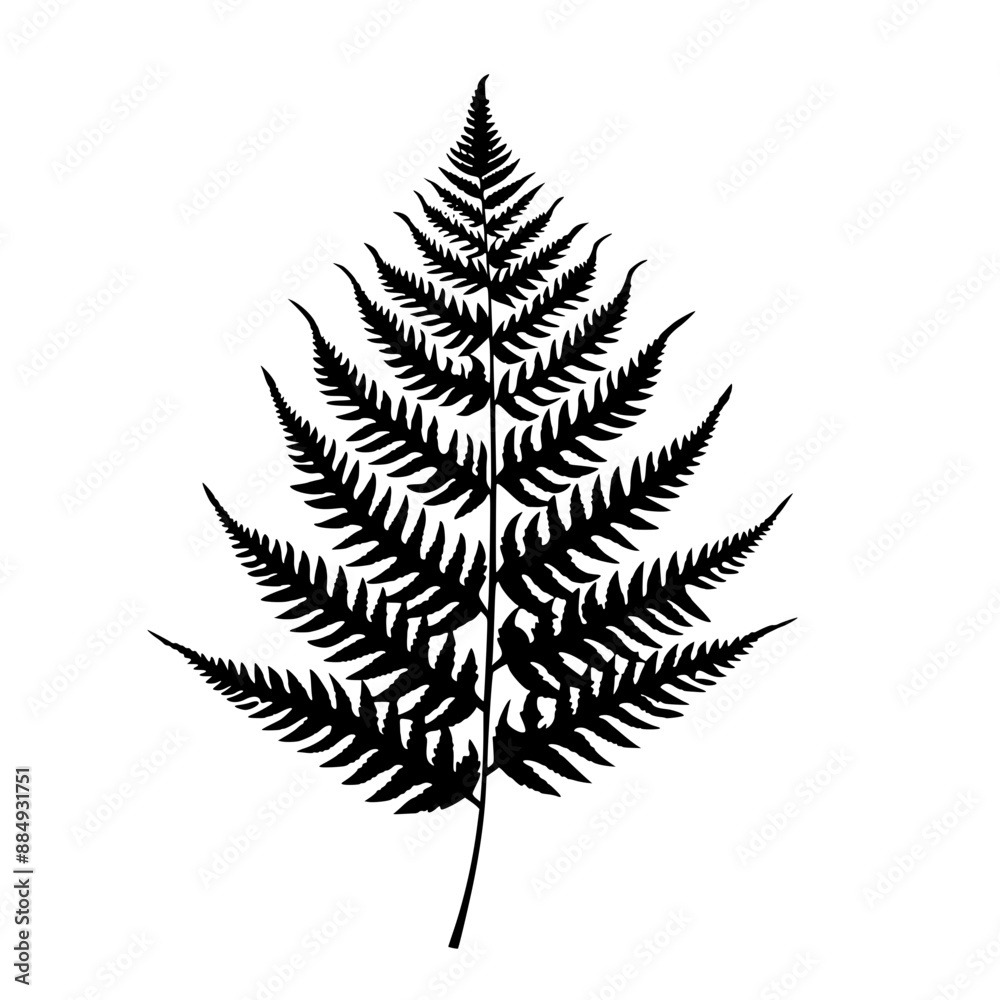 Silhouettes of Fern Leaves, A collection of black fern leaf silhouettes , showcasing the intricate details of the leaves.
Silhouettes of Fern Leaves, A collection of black fern leaf silhouettes , showcasing the intricate details of the leaves.