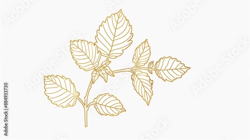 Golden line art of flowers on white background,wedding invitation cards or greeting cards design.