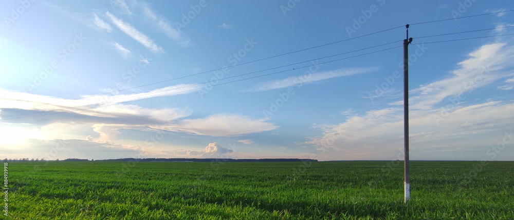 Countryside panorama with blue sky, green grass field and electric air mast