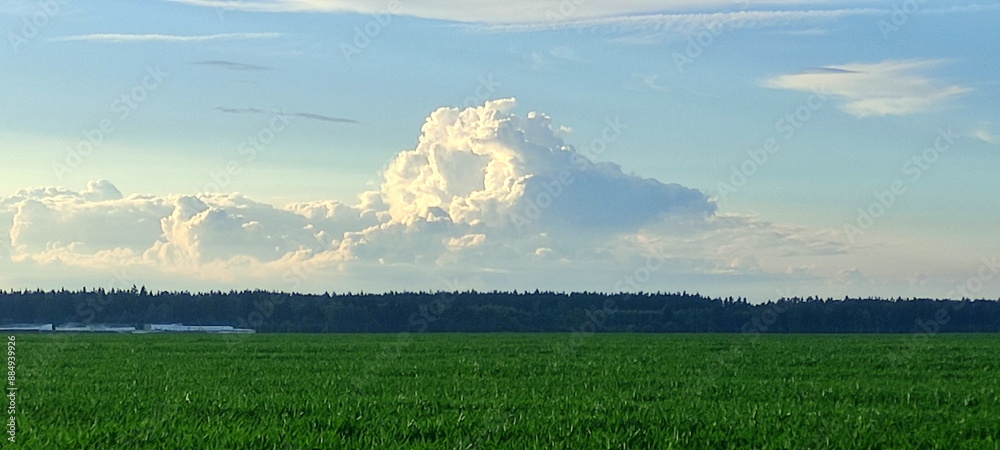 mountain cumulus cloud over the green grass field and forest trees stripe on horizon at summer day