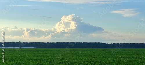 Obraz na płótnie mountain cumulus cloud over the green grass field and forest trees stripe on horizon at summer day w salonie