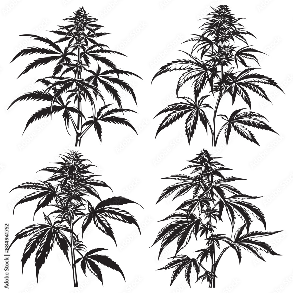 Creative Black Weed Vector Silhouette Art,
Modern Black Weed Vector Silhouette Illustration Creative Black Weed Vector Silhouette Art,
Modern Black Weed Vector Silhouette Illustration