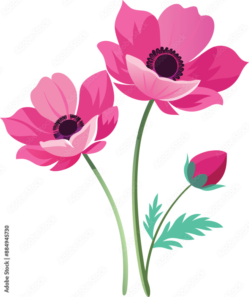 Fototapeta premium Adorable Anemone blooms with delicate petals and charming design. 