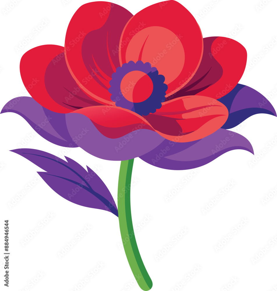 Adorable Anemone blooms with delicate petals and charming design. Adorable Anemone blooms with delicate petals and charming design.