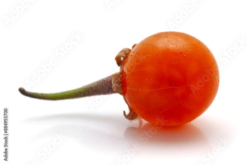 Close-up of Fresh Organic Red nightshade or Makoy (Solanum nigrum) fruit. Isolated on a white background. photo