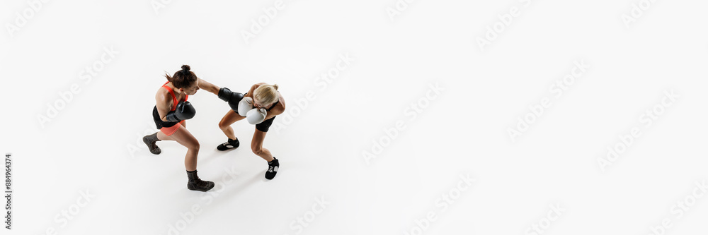 Dyna,ci image of competitive young women, boxing fighters in motion, training isolated on white background. Concept of combat sport, martial arts, strength, endurance. Banner. Copy space for ad Dyna,ci image of competitive young women, boxing fighters in motion, training isolated on white background. Concept of combat sport, martial arts, strength, endurance. Banner. Copy space for ad