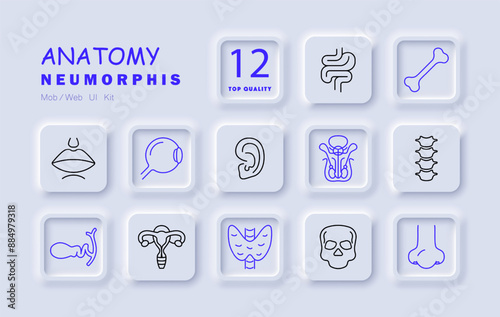 Anatomy set icon. Brain, heart, lungs, liver, bones, stomach, eye, DNA, ear, skull, intestines, uterus, spine.
