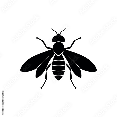 Fly insect vector illustration, Fly icon silhouette vector illustration