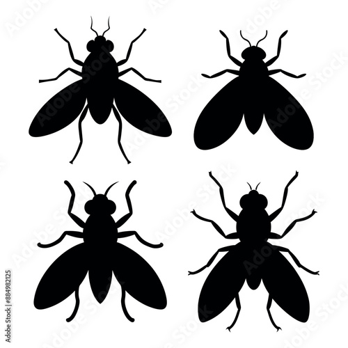 Fly insect vector illustration, Fly icon silhouette vector illustration photo