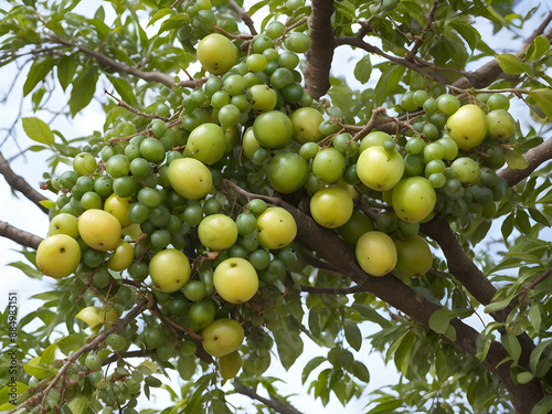 green olives on tree,Ai generated 