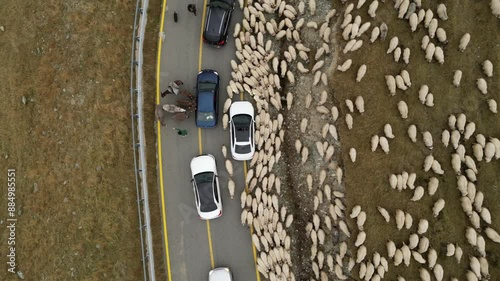 Aerial video of a flock of sheep in the mountains of Romania photo
