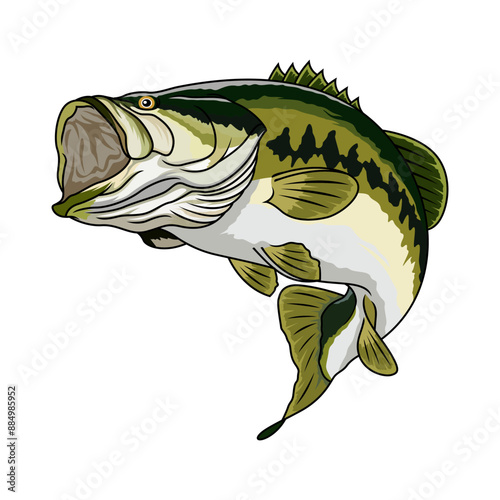 bass fishing illustration logo vector image t shirt