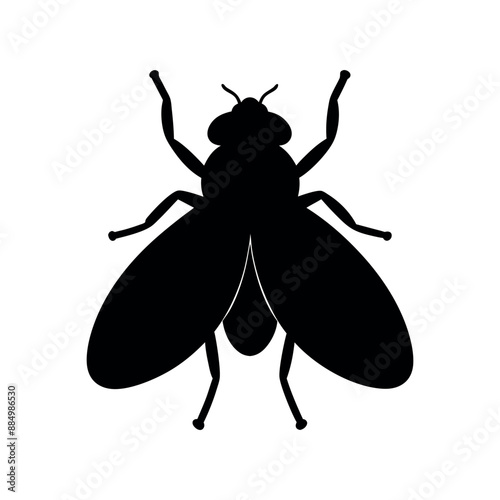 Fly insect vector illustration, Fly icon silhouette vector illustration