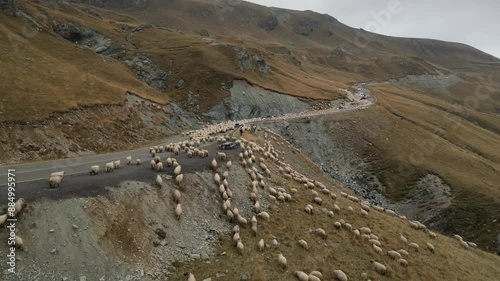 Aerial video of a flock of sheep in the mountains of Romania photo