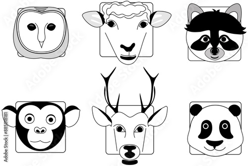 Animals owl sheep raccoon monkey dear panda