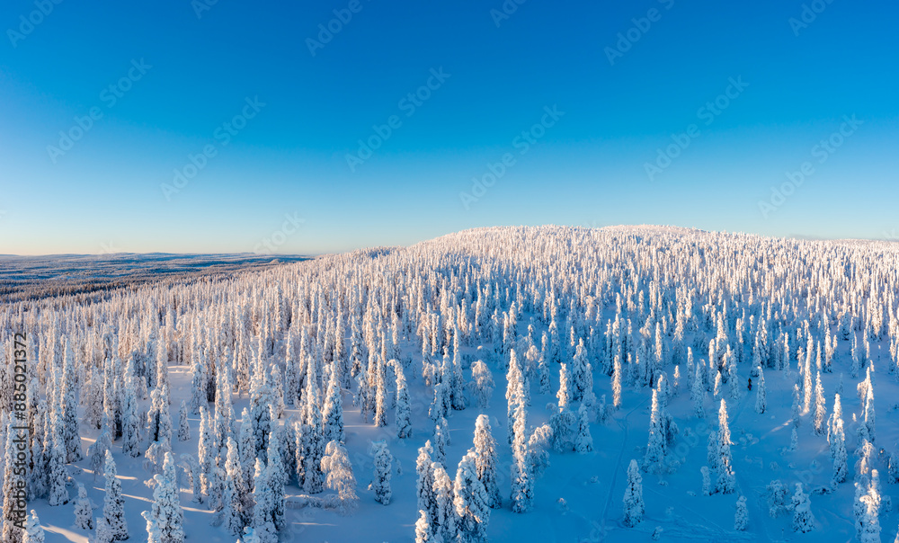 winter landscape with snow
