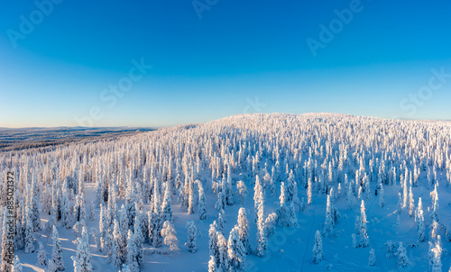 Obraz na płótnie winter landscape with snow w salonie