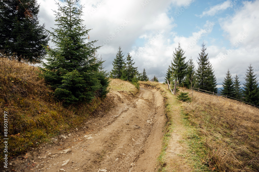 Mountain path among trees and open areas in the Carpathian Mountains. Beautiful nature landscape. Ukraine Mountain path among trees and open areas in the Carpathian Mountains. Beautiful nature landscape. Ukraine