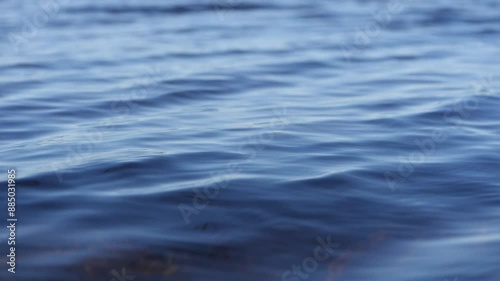 Nature s touch: soft water ripples. Slow motion
