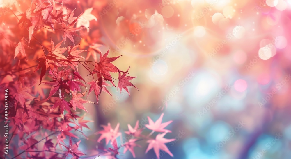 Autumn background with red Japanese maple leaves
Autumn background with red Japanese maple leaves