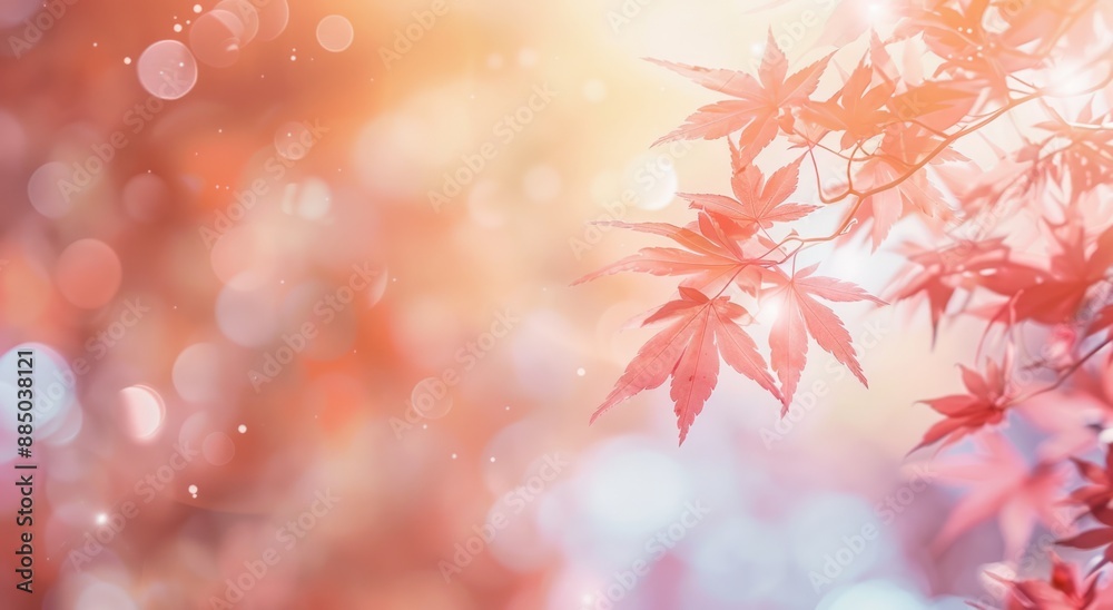 Autumn background with red Japanese maple leaves
Autumn background with red Japanese maple leaves