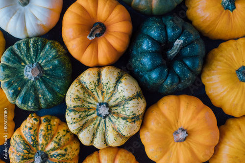 Many colorful mini pumpkins and gourds, view from above. Fall texture for background. Halloween or Thanksgiving celebration.