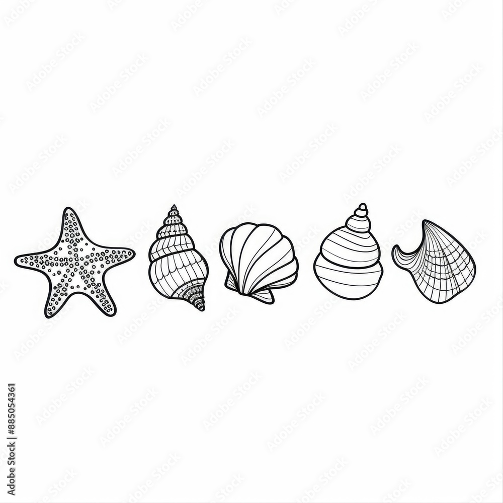 Different sea shells and a sea star in a row, a doodle style flat vector outline, promoting marine awareness Different sea shells and a sea star in a row, a doodle style flat vector outline, promoting marine awareness