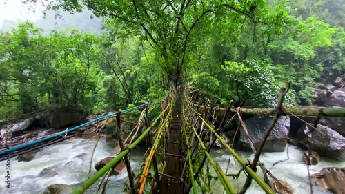 Single Living roots bridge in nongriat village in cherrapunjee meghalaya India. This bridge is formed by training tree roots over years to knit together.