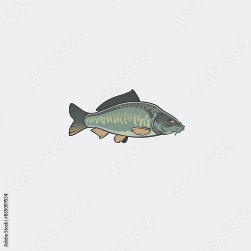 mirror carp color