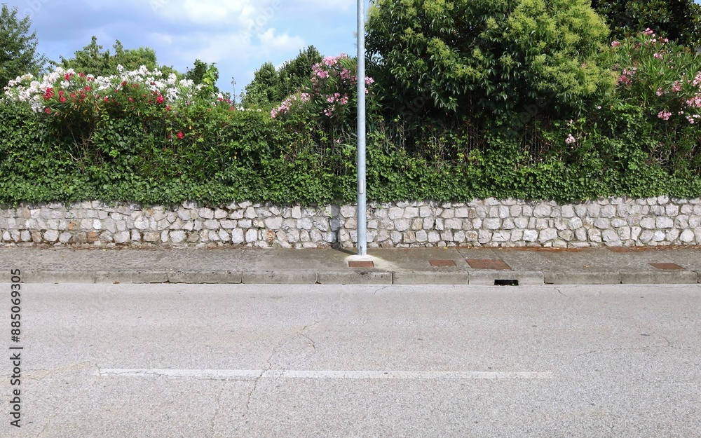 custom made wallpaper toronto digitalPole on concrete sidewalk with a fence behind made of low stone wall and flowering plants. Road in front. Background for copy space.