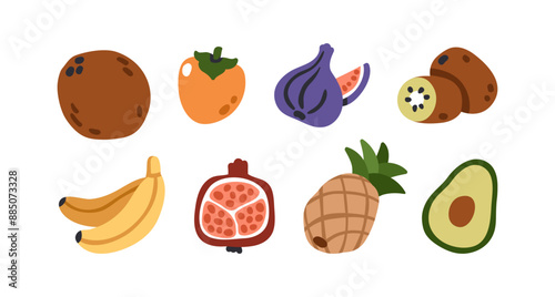 Tropical fruit set. Coconut, persimmon, fig, cut kiwi, banana, pomegranate half, whole pineapple, avocado icons. Fresh healthy summer food. Flat vector illustration isolated on white background