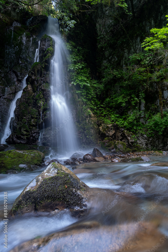 Fototapeta premium 美しい滝のある風景