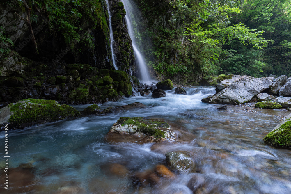 Fototapeta premium 美しい滝のある風景