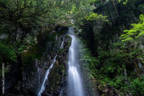 美しい滝のある風景