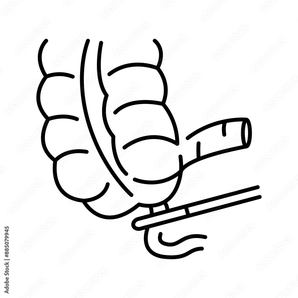 Obraz premium Appendectomy line black icon.