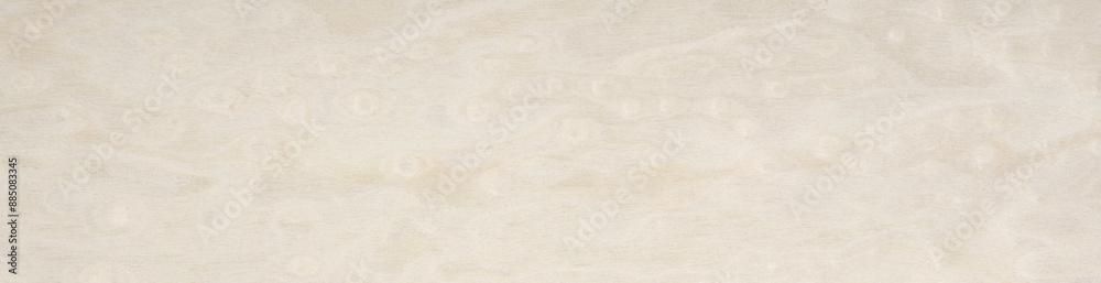 Pure white erable veneer surface with soft, organic patterns offering a serene and clean aesthetic Pure white erable veneer surface with soft, organic patterns offering a serene and clean aesthetic